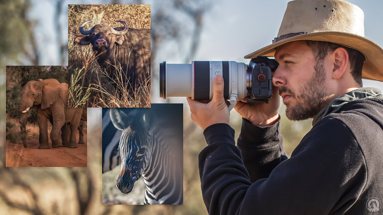 Amazing SOUTH AFRICAN Safari – Mongena Game Lodge