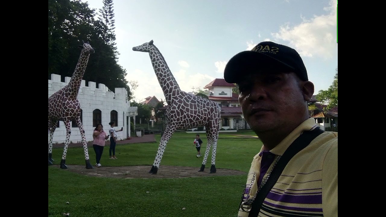 #tigerchannel #tigervlog #tigertv