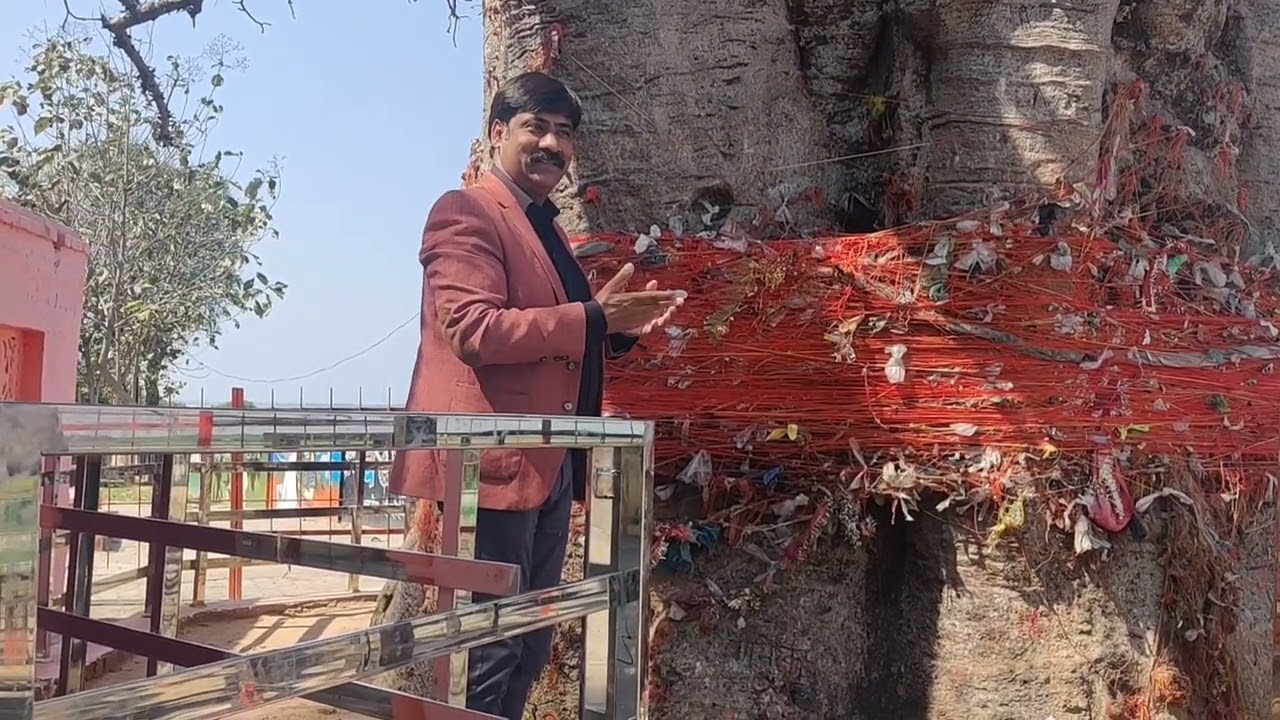 #KALPAVRIKSH (कल्पवृक्ष ) THE  SACRED TREE