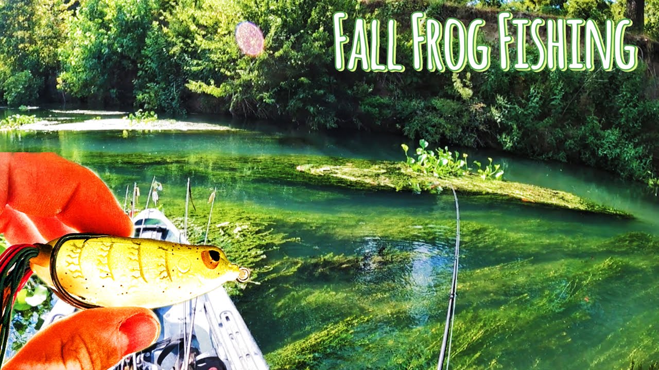 INCREDIBLE Fall Frog Fishing For WILD River Bass
