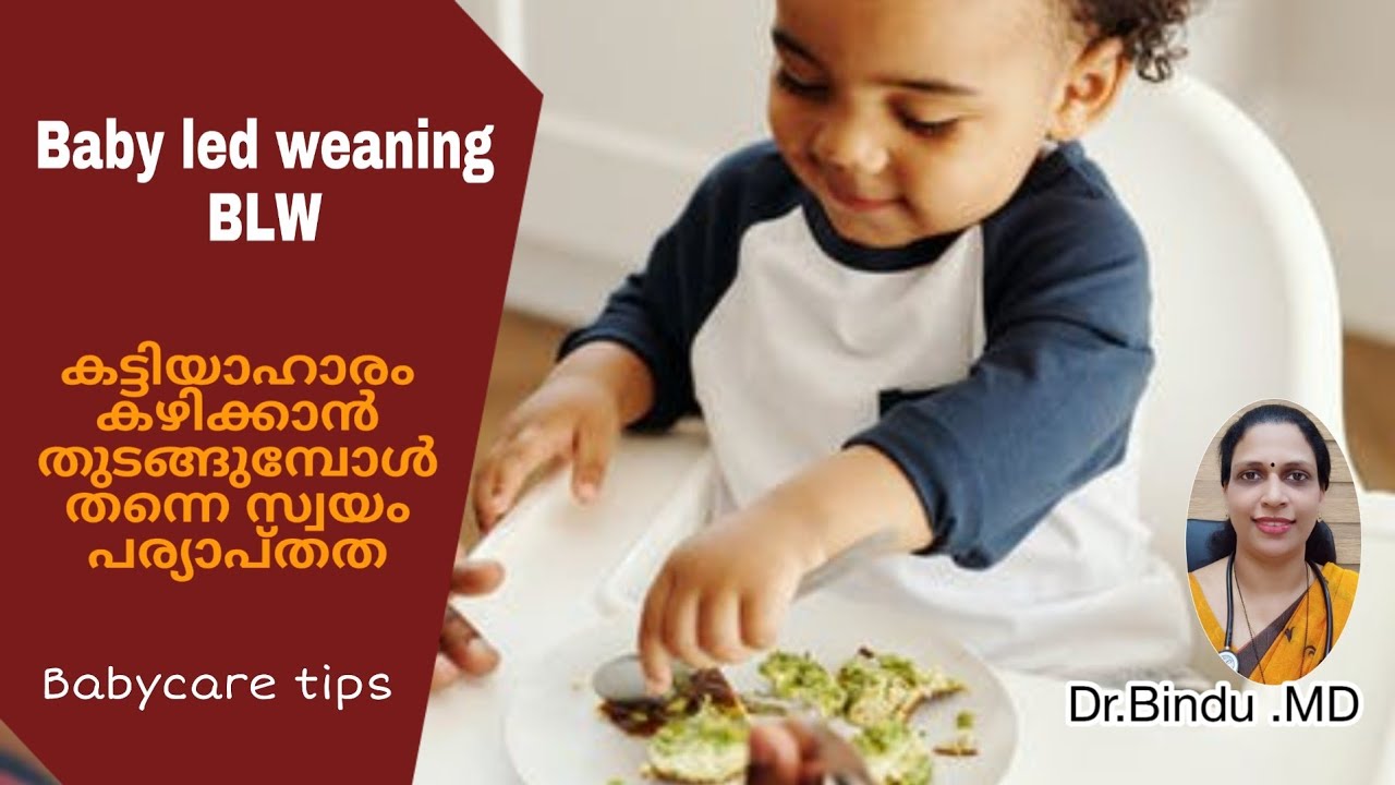Baby led weaning/ആറാം മാസത്തിൽ കുഞ്ഞ് സ്വയം കഴിക്കാൻ പഠിച്ചാൽ/Dr Bindu