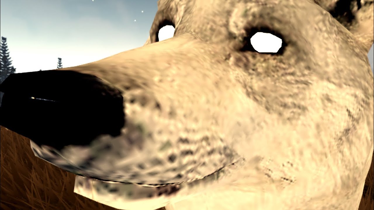Being a wolf