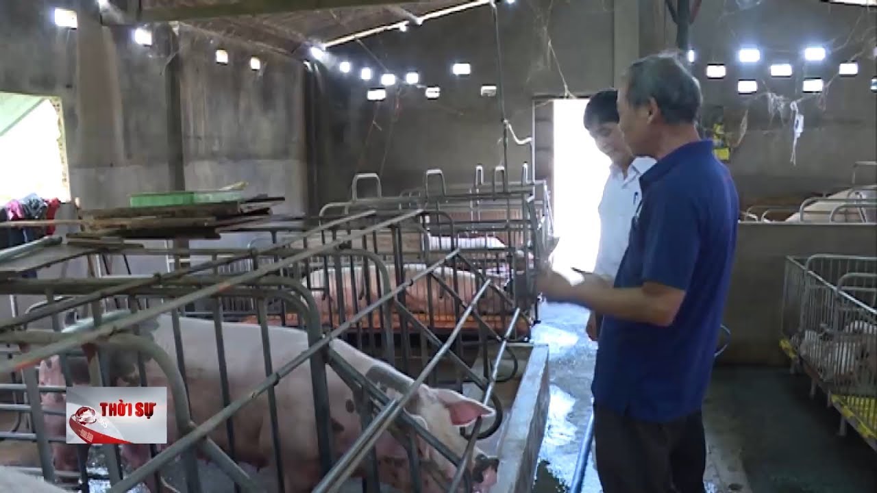 Ph&aacute;t triển chăn nu&ocirc;i gia s&uacute;c, gia cầm v&agrave; thủy sản