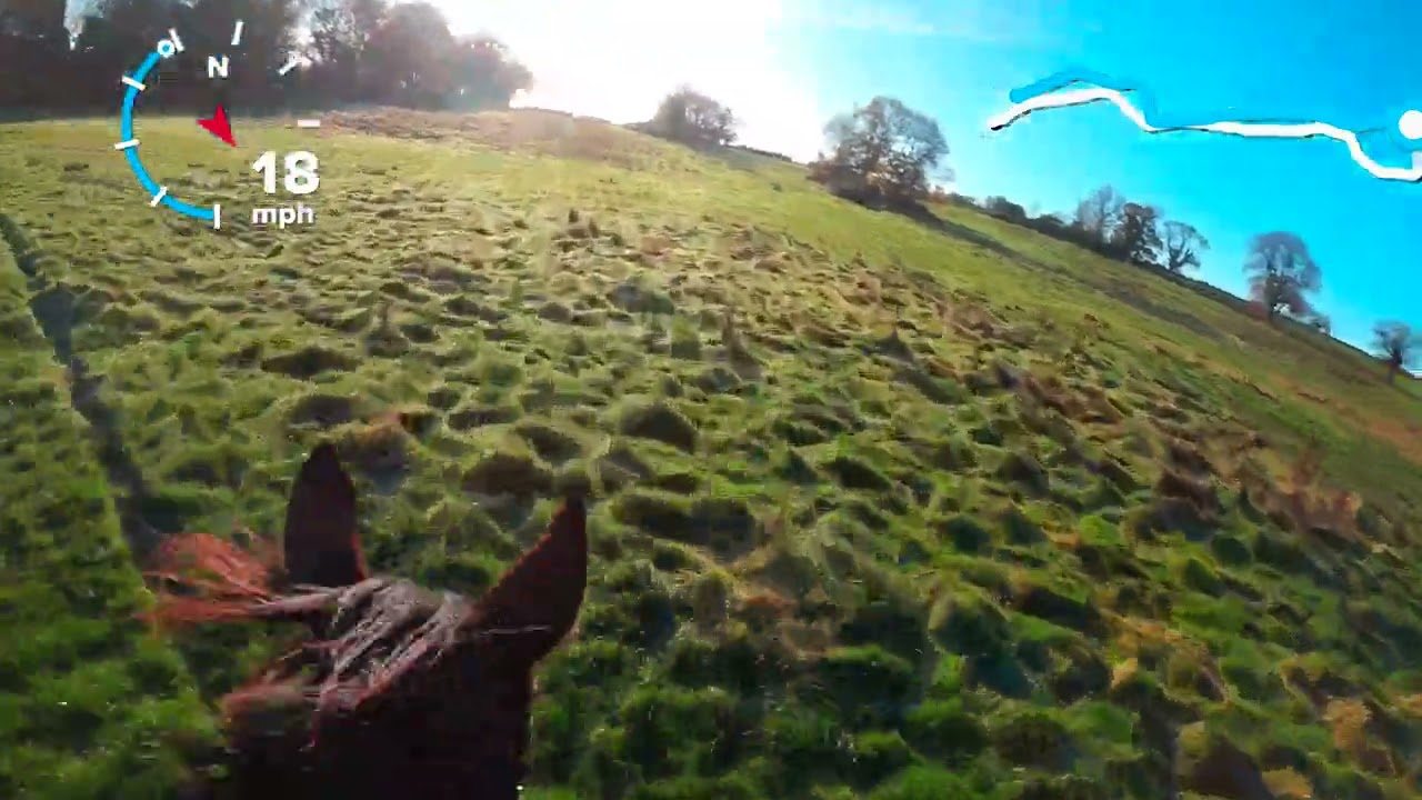 Yeomanry Ride 2023 - 1st on Lost