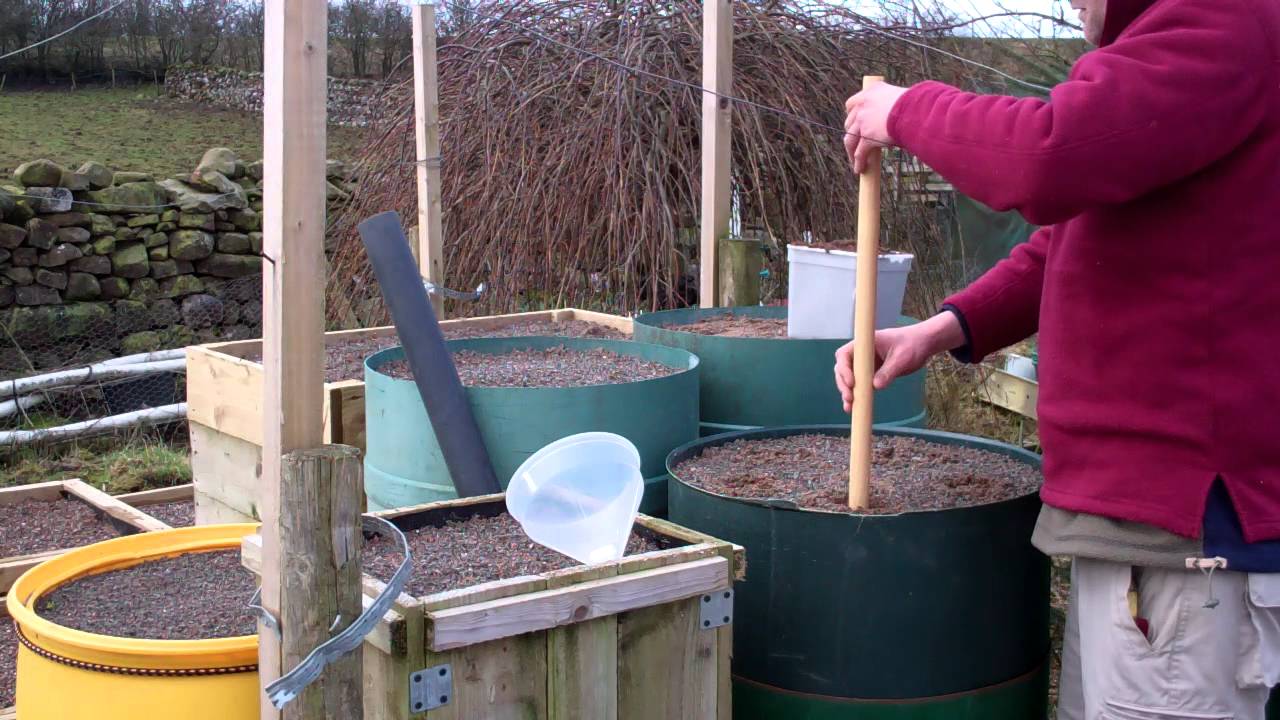 Allotment Diary Preparing the Giant Parsnip & Carrot Sand Barrels