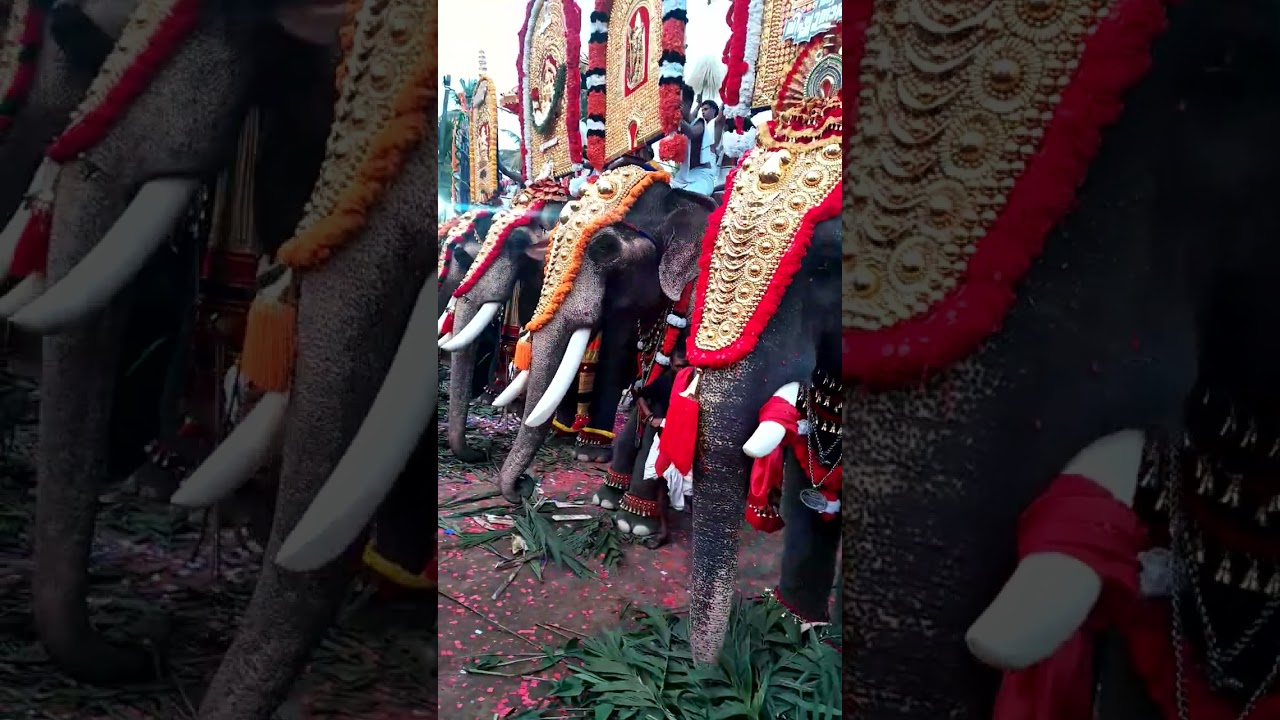 Kottmkulam pooram 2k26🙏