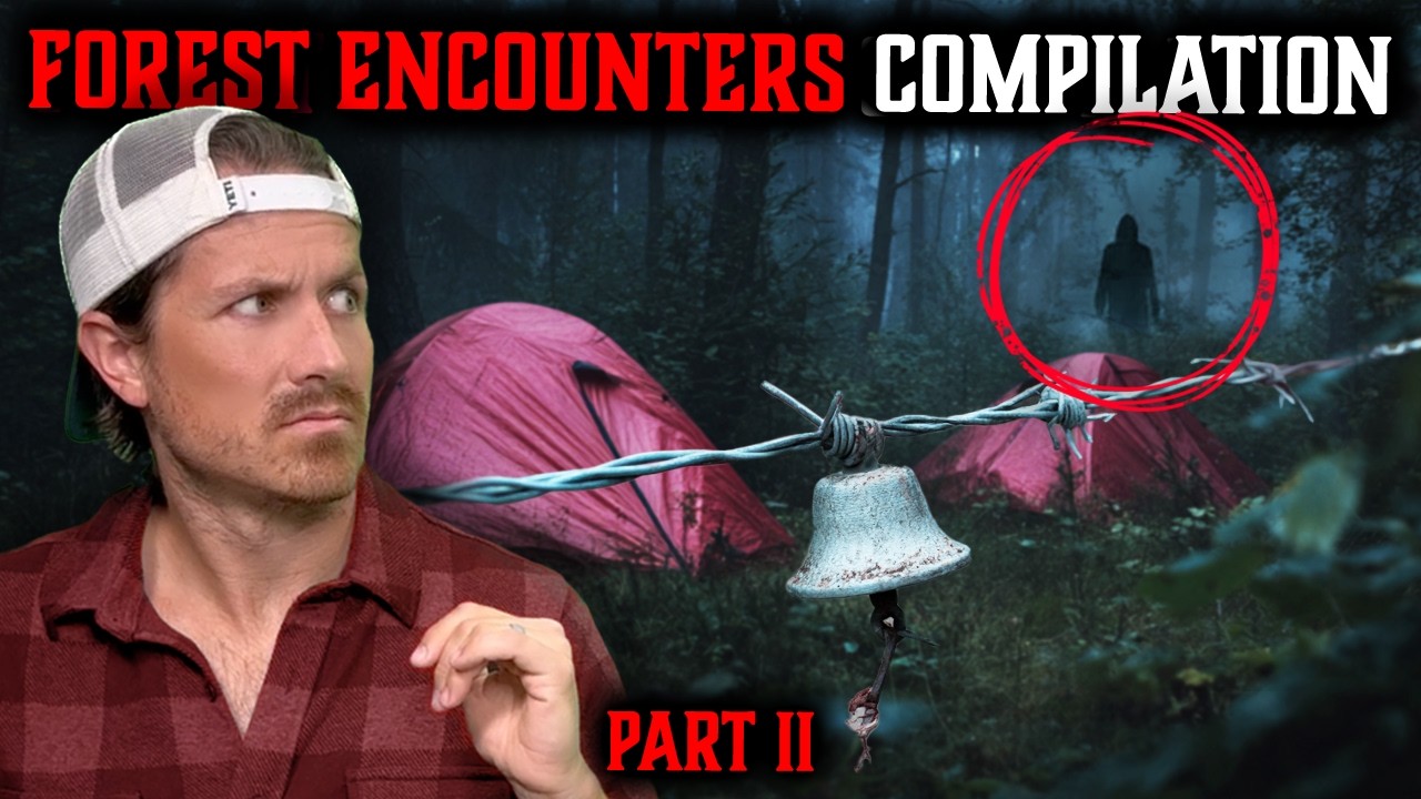 Top 5 Bingeable SCARY STORIES • FOREST HORROR Edition Vol. 2