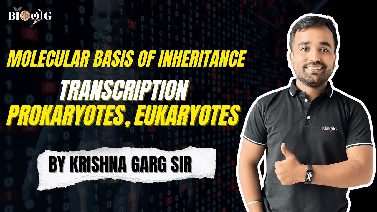 Transcription 🧬 | Molecular Basis of Inheritance | Class 12 NCERT Biology | Genetics NEET Prep 2026”