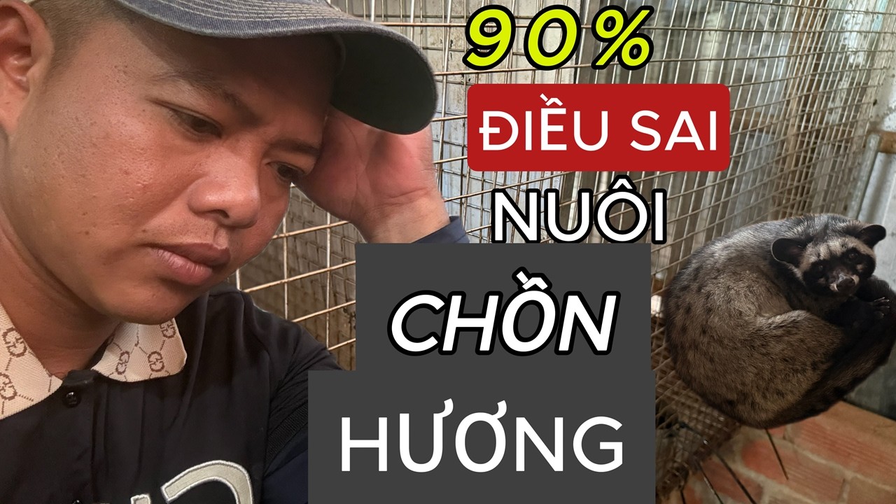 90% ĐIỀU SAI NU&Ocirc;I CHỒN HƯƠNG