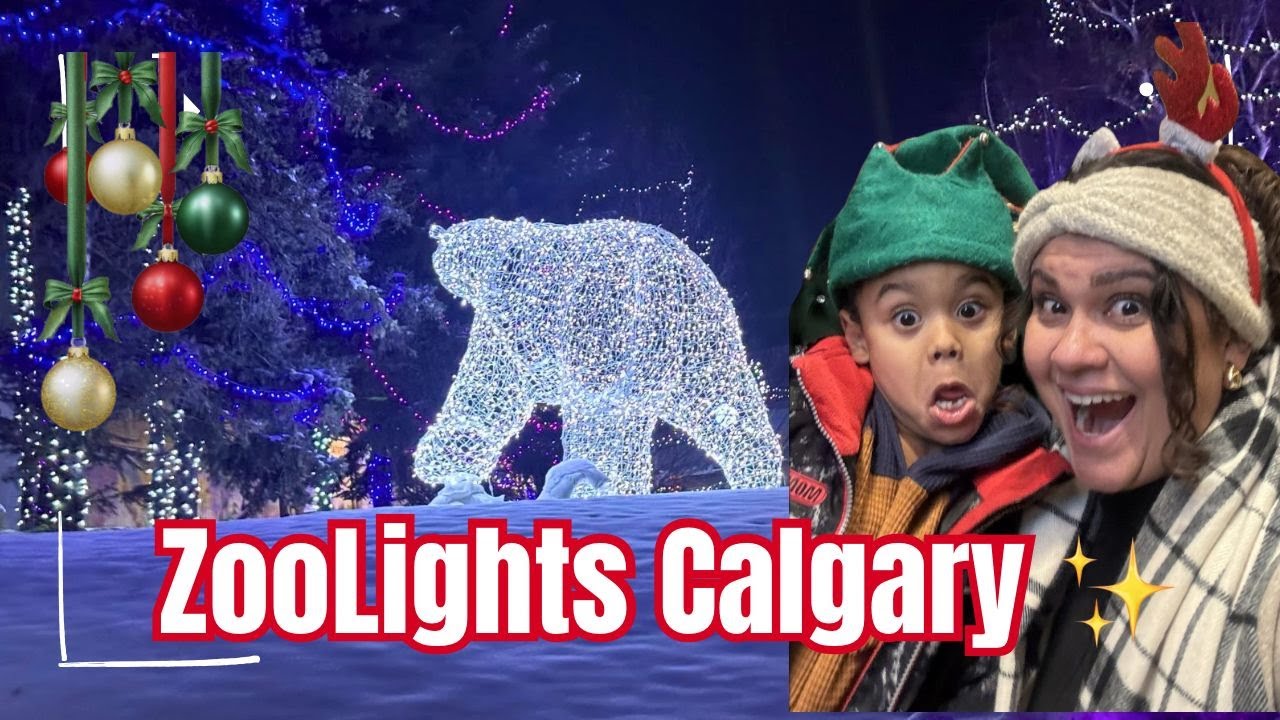Luzes de Natal no Canadá ❄✨ Passeio no ZooLights Calgary