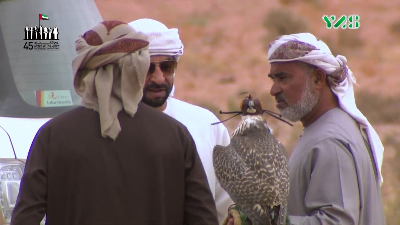 المقناص - مقناص الشيخ حمدان بن زايد من المملكة المغربية | 02-12-2016