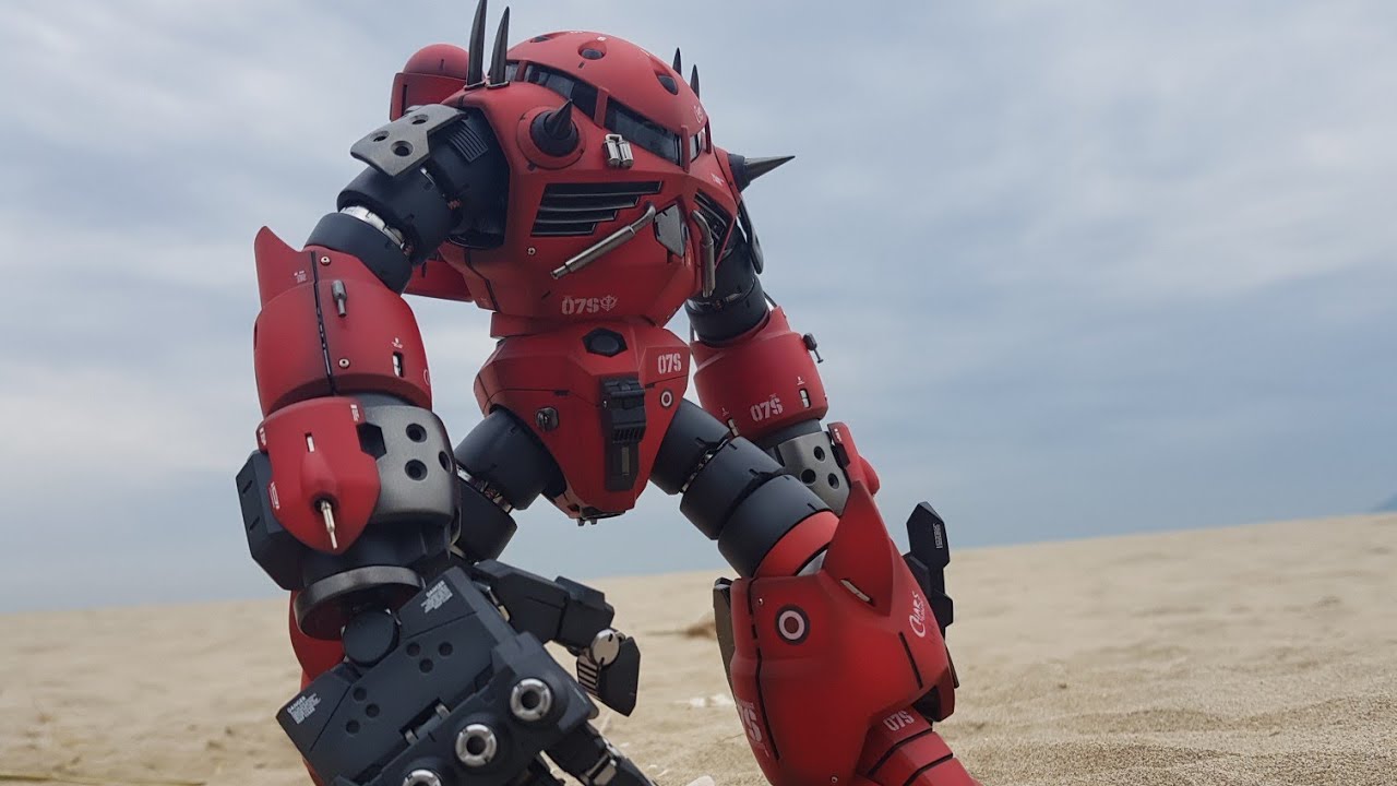 BANDAI 1:100 MG MSM-07S Z'GOK (Char's custom build)