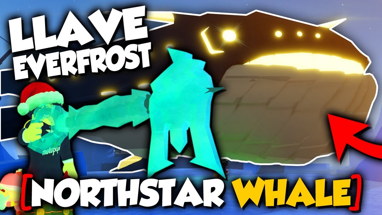 como conseguir NORTHSTAR WHALE & LLAVE EVERFROST en FISCH ROBLOX