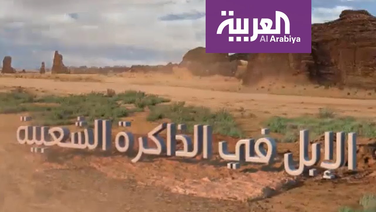 على خطى العرب | الإبل في الذاكرة الشعبية - 