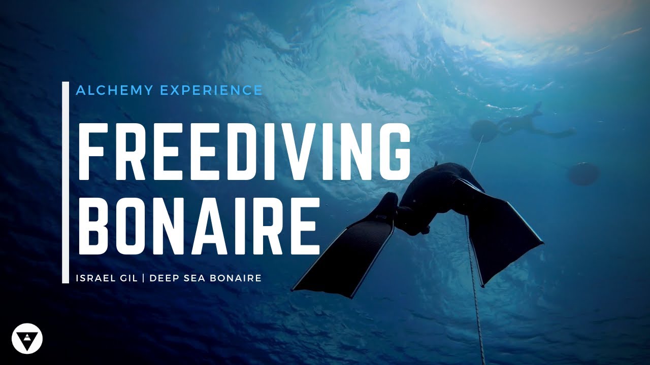 Freediving Bonaire
