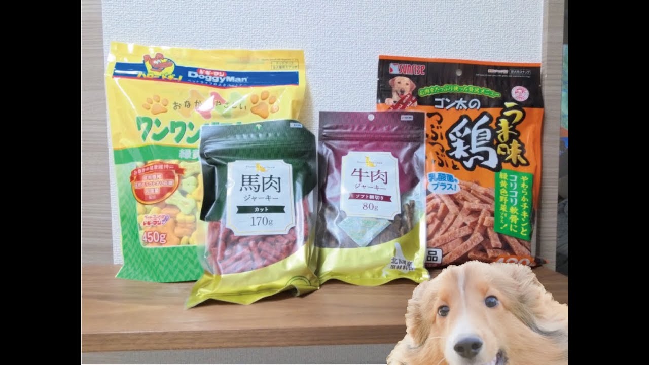 食いしん坊パッシーにお年玉をプレゼント