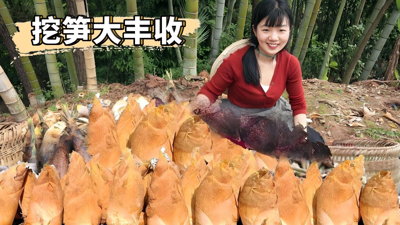 全村人上山挖筍啦！一上午挖了300多斤野筍，又大又多太過癮了！ 【燕麥行遊】