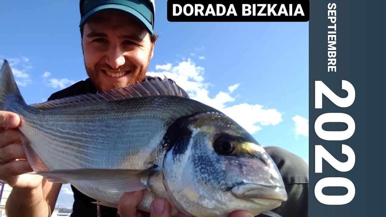🎣PESCA SURFCASTING CANTÁBRICO 2020 