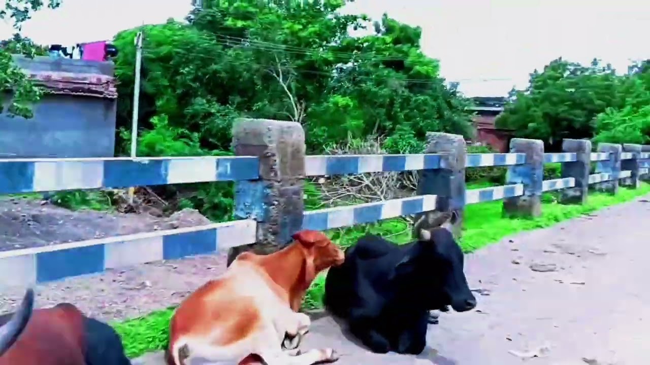 Youtudie video upload kame kis sahiuploabon v ibeo onyoutube/@Bhartiblock