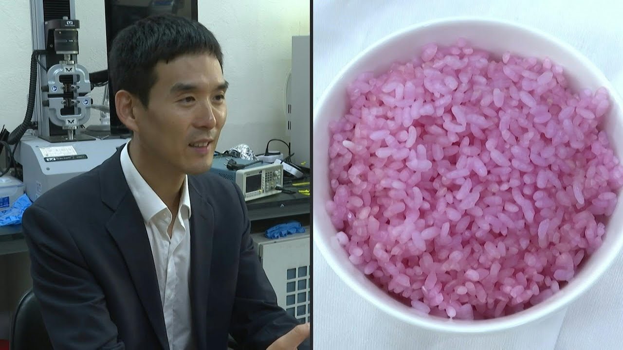 Cientistas sul-coreanos criam arroz com alta concentração de proteínas | AFP