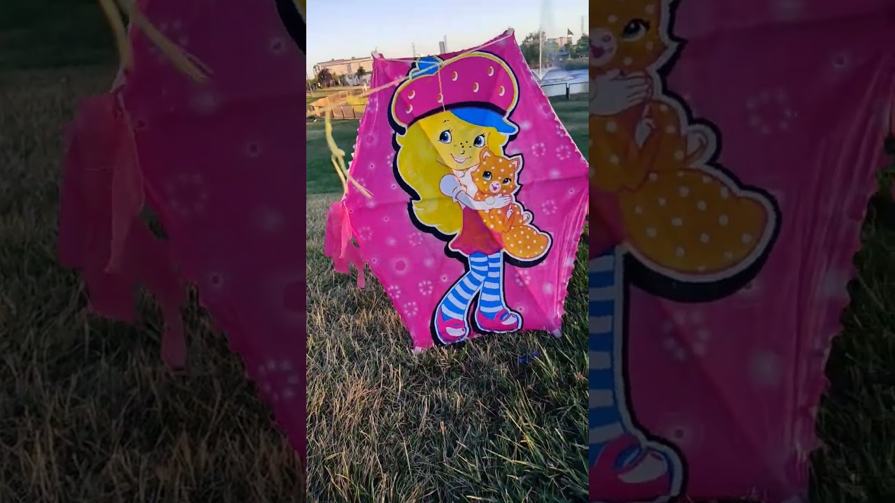 U&ccedil;urtmayı nasıl u&ccedil;urdum💖🎊🤩🥺$ u&ccedil;urtma  #shortvideo #short #movie #kite#u&ccedil;urtma