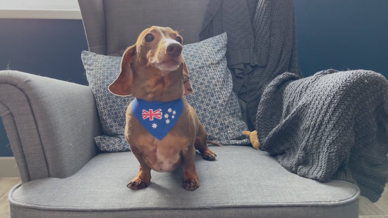 Happy Birthday Skippy