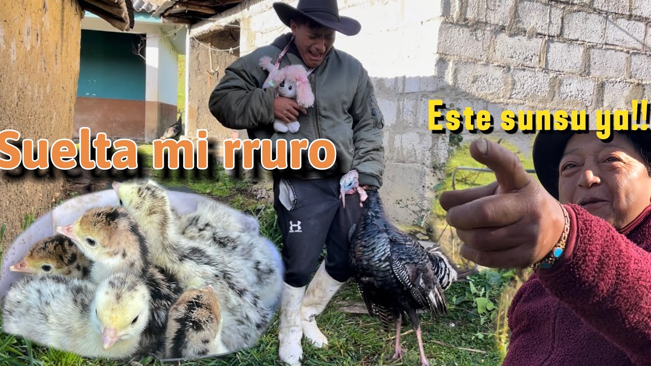 😳Así nacieron hijos de tía Juanita !