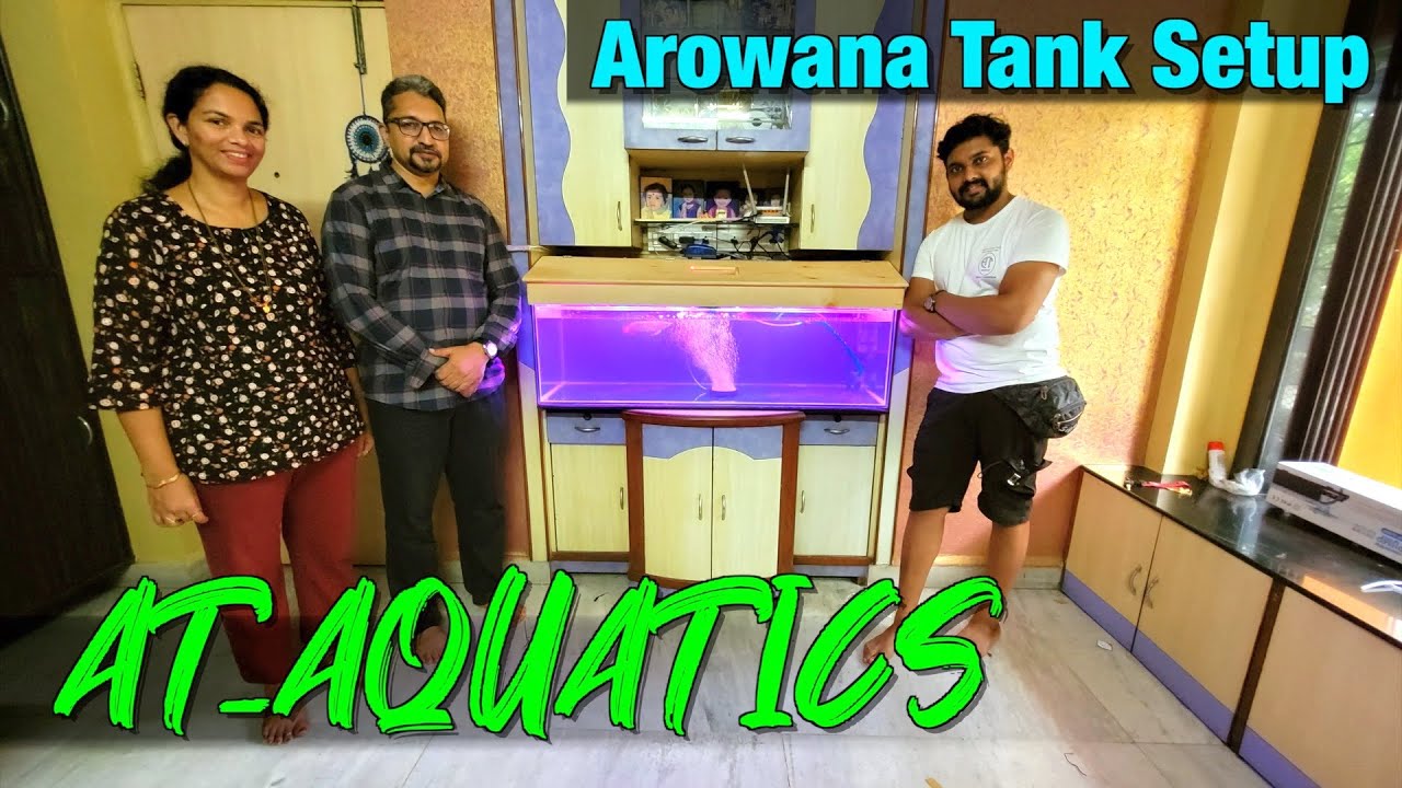 The Secrets to Perfect Arowana Tank Set Up Revealed I AT_AQUATICS