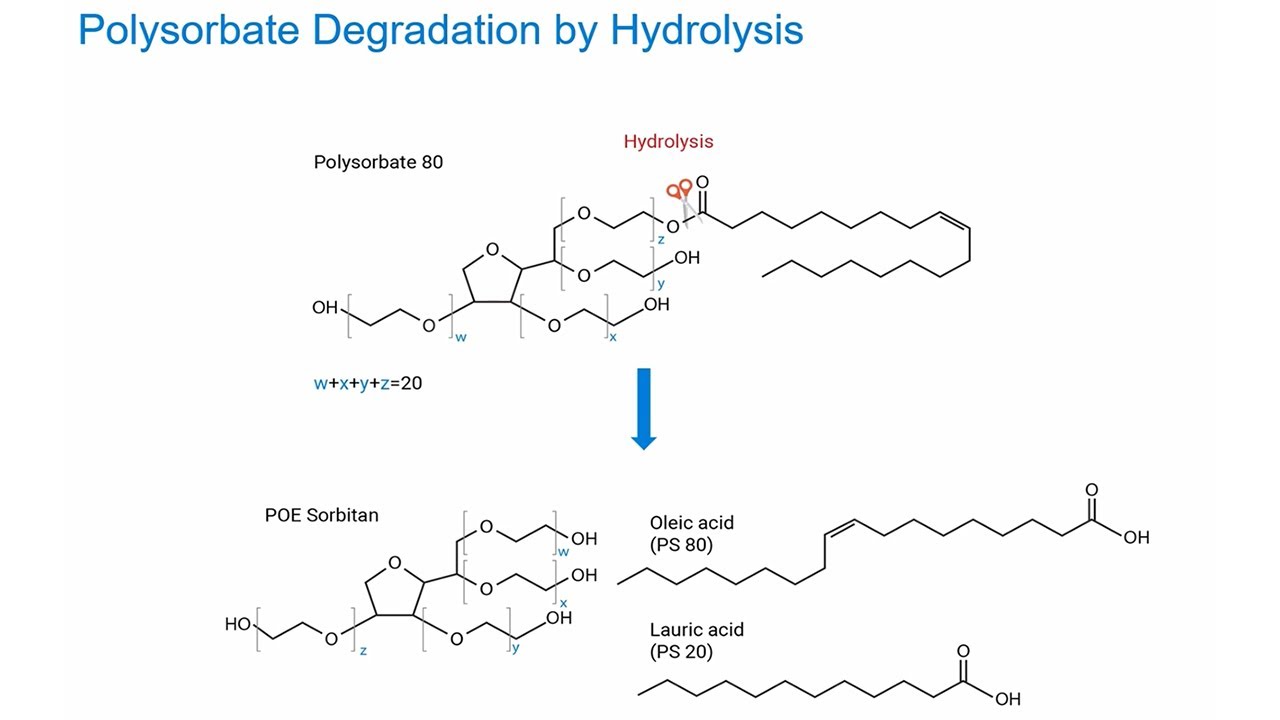 A Novel Method to Characterize Polysorbate Degradation