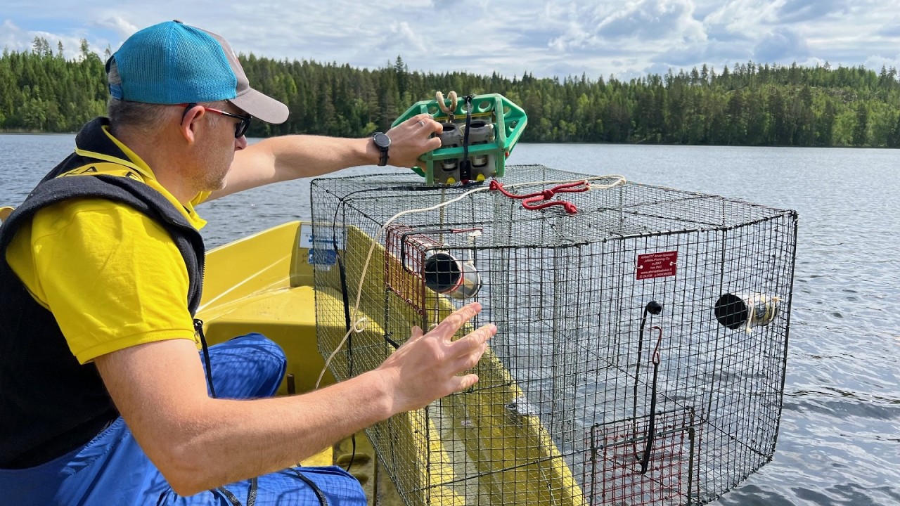 How to Improve Trap Fishing with Underwater Video: A Finnish Project on Perch Fishing.