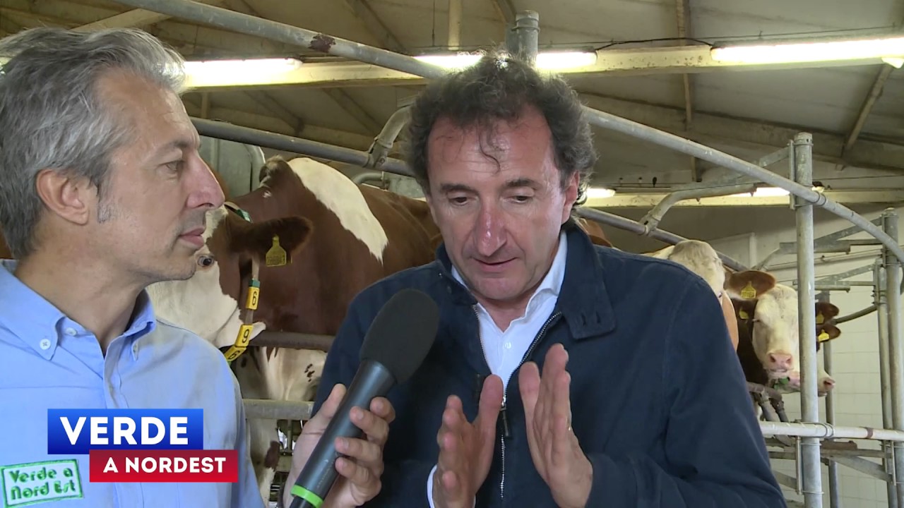 Gran Moravia: le stalle e la sala mungitura