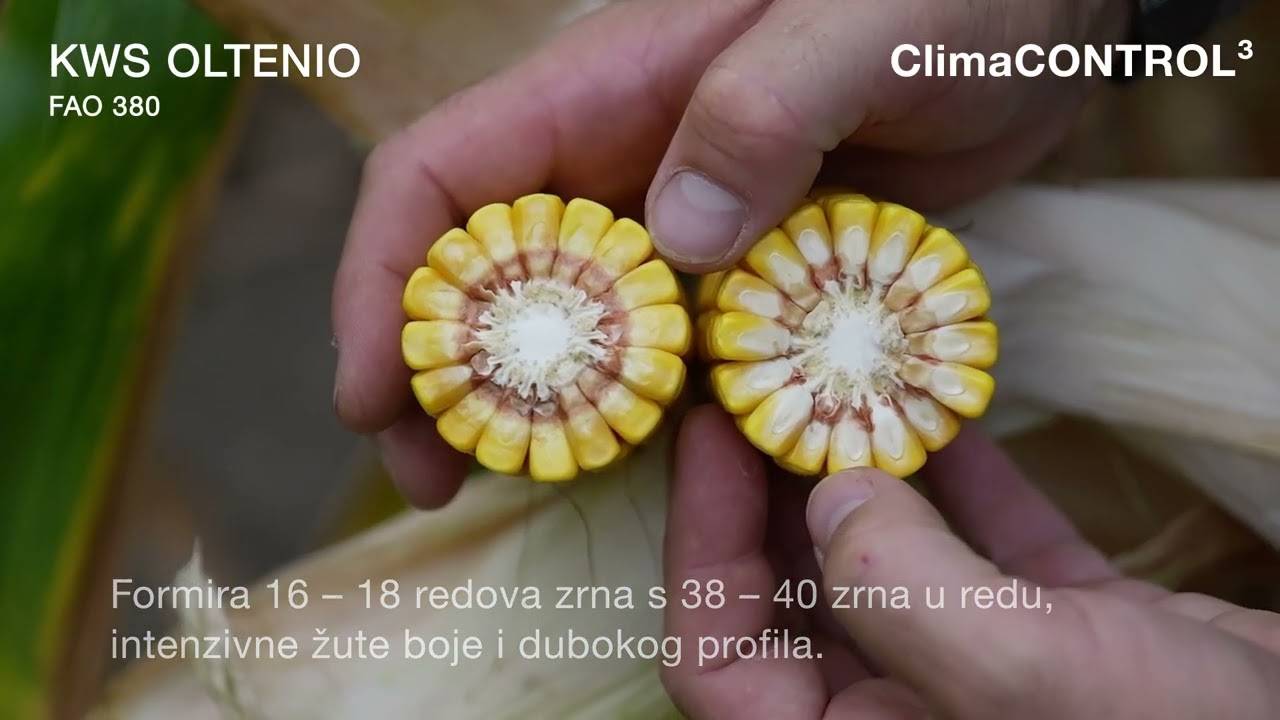 KWS OLTENIO - ClimaCONTROL3 hibrid nove generacije
