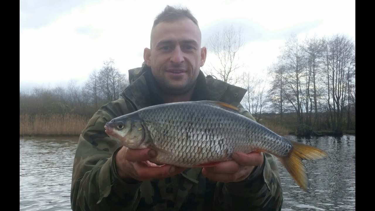 15kg Płoci i Leszczy na Spławiczek