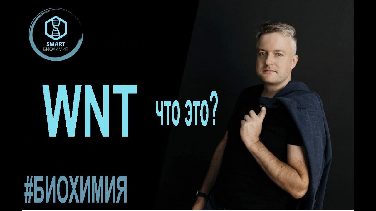 Биохимия: Wnt - катениновый путь