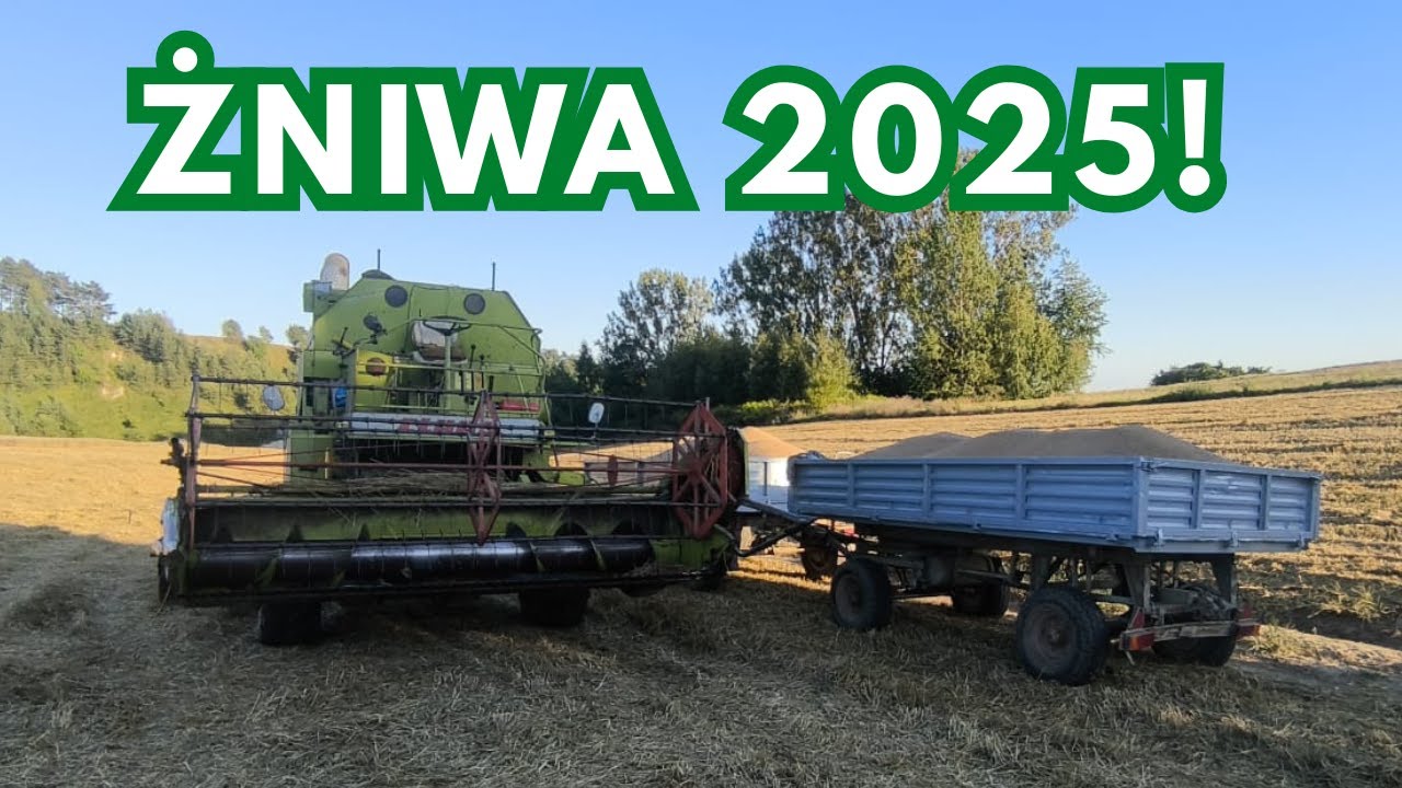 Pszenica ozima pod kosę! - Żniwa 2025 [Vlog 42]