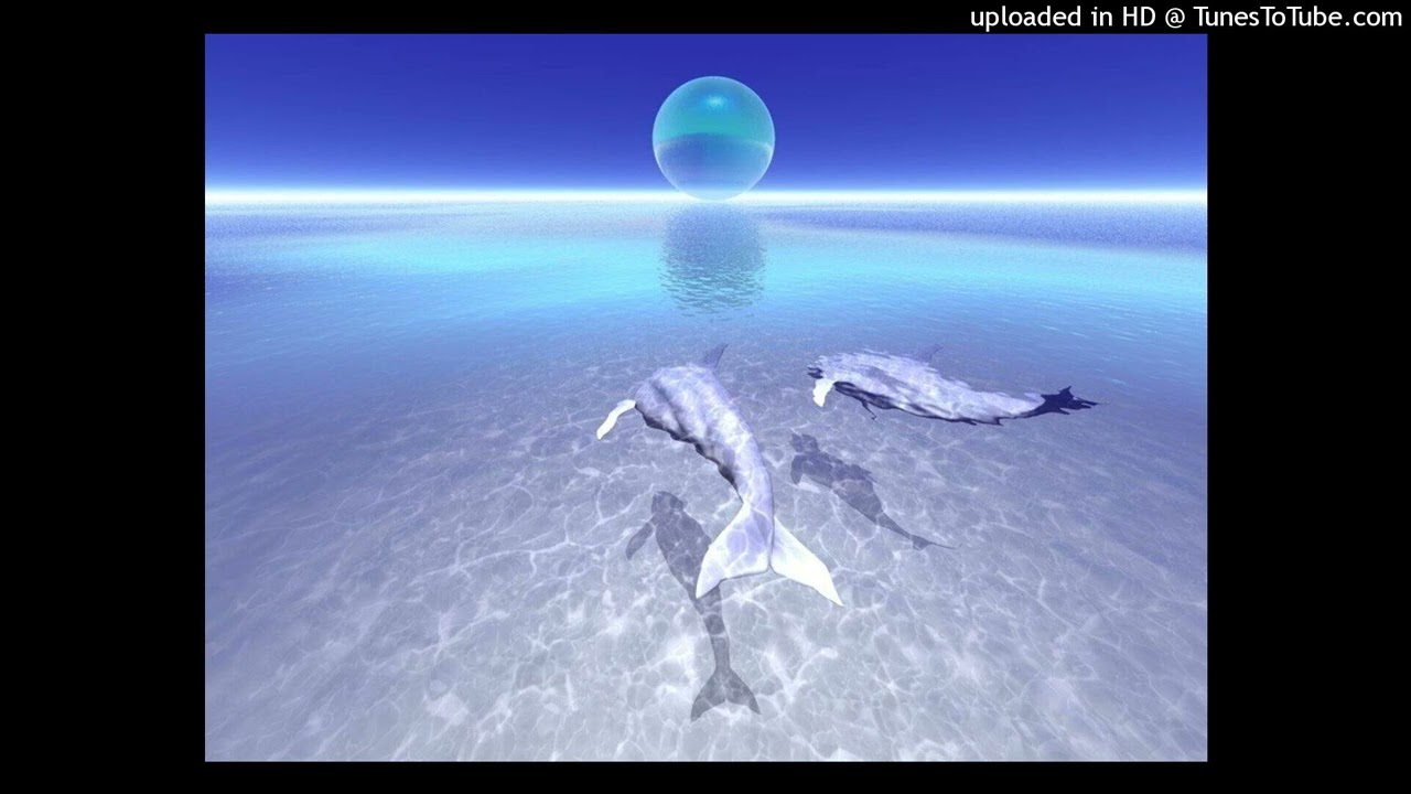 (sold) xaviersobased + emotional jerk type beat (prod nuketalk)