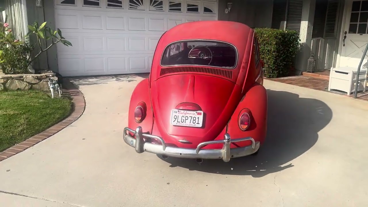 1964 Beetle for sale 