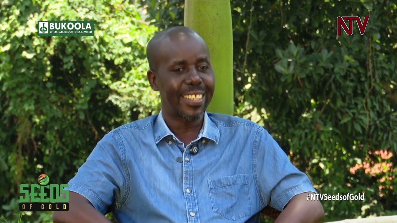 Profitable strategies for fish farmers | SEEDS OF GOLD