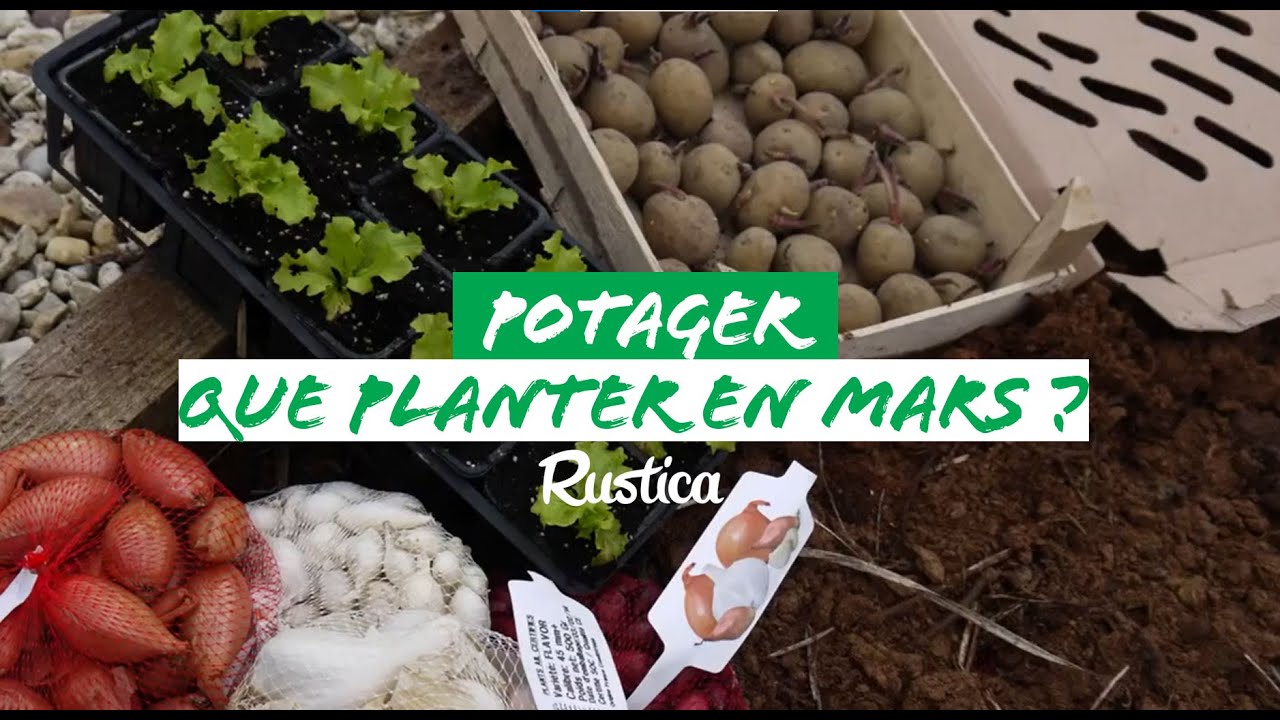 Les plantations au potager en mars