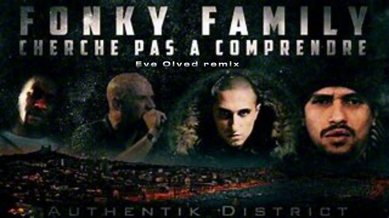Fonky Family remix - Cherche pas à comprendre
