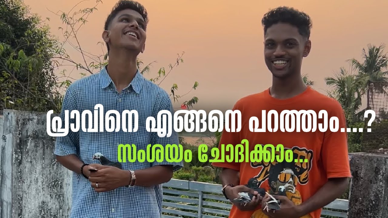പറവ പിള്ളേരോട് ചോദിക്കാം നിങ്ങളുടെ സംശയങ്ങൾ ചോദിക്കു 🥰
