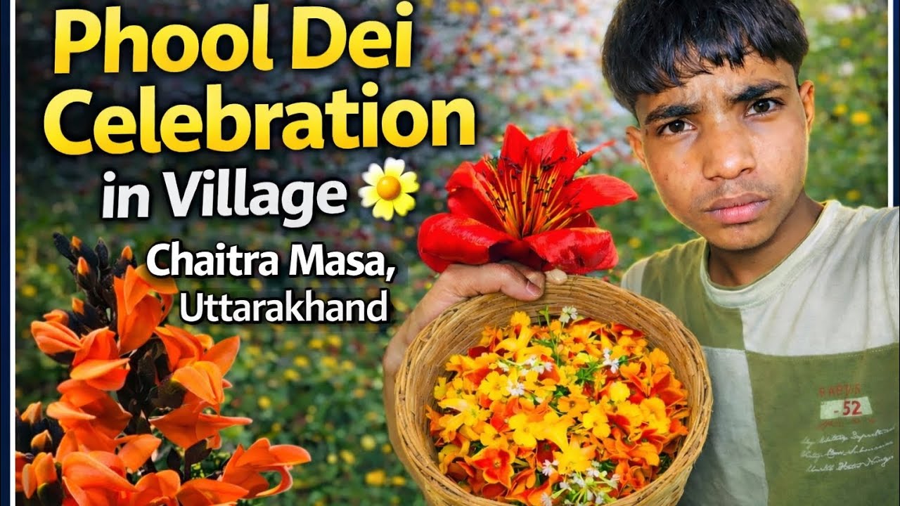 Phool Dei Festival 🌸 |  vlogs जंगलों से फूल ले आए 🌼🌼🌼 