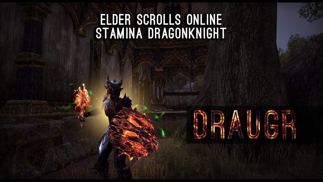 Stamina Dragonknight Build 