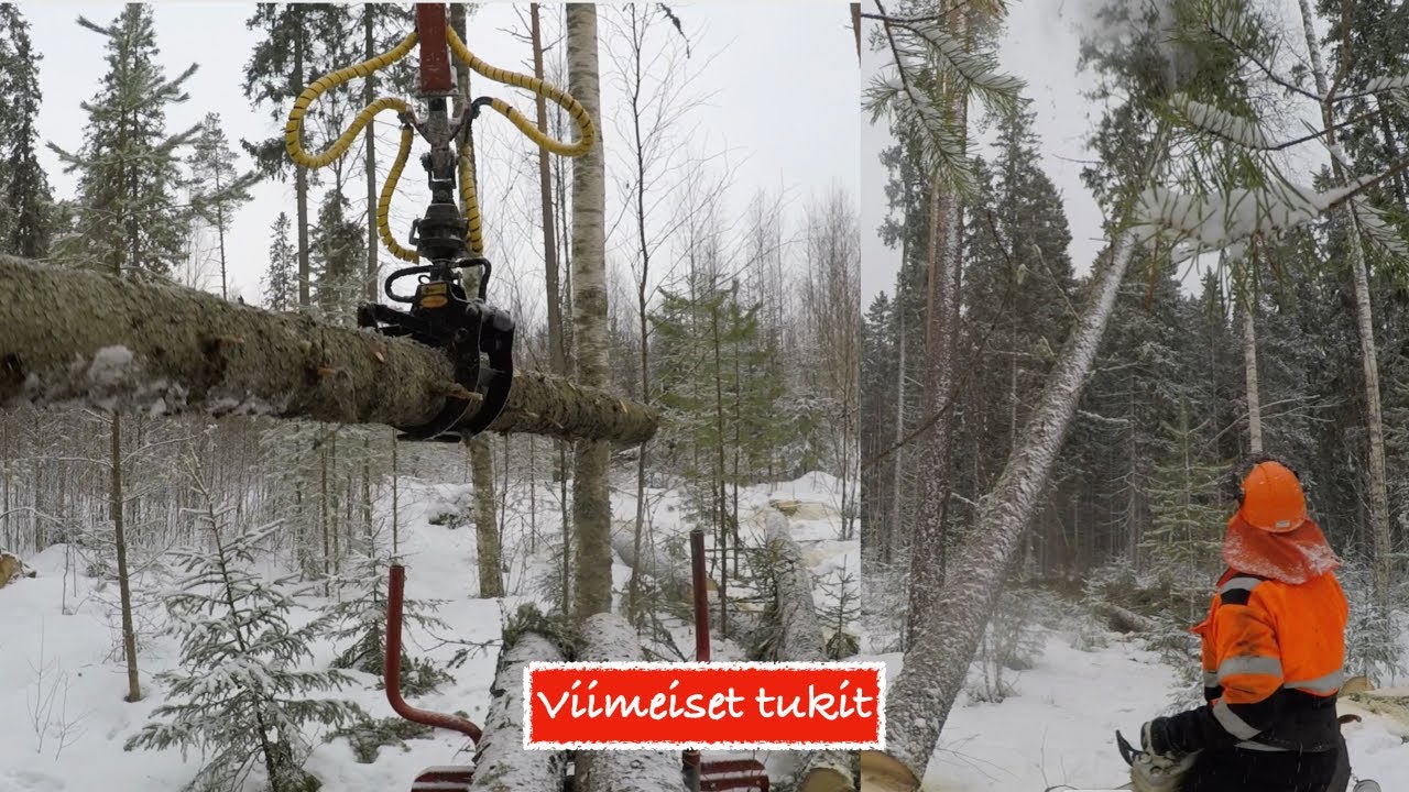 Pari kuormaa tukkeja,  Kranman t 1750 E
