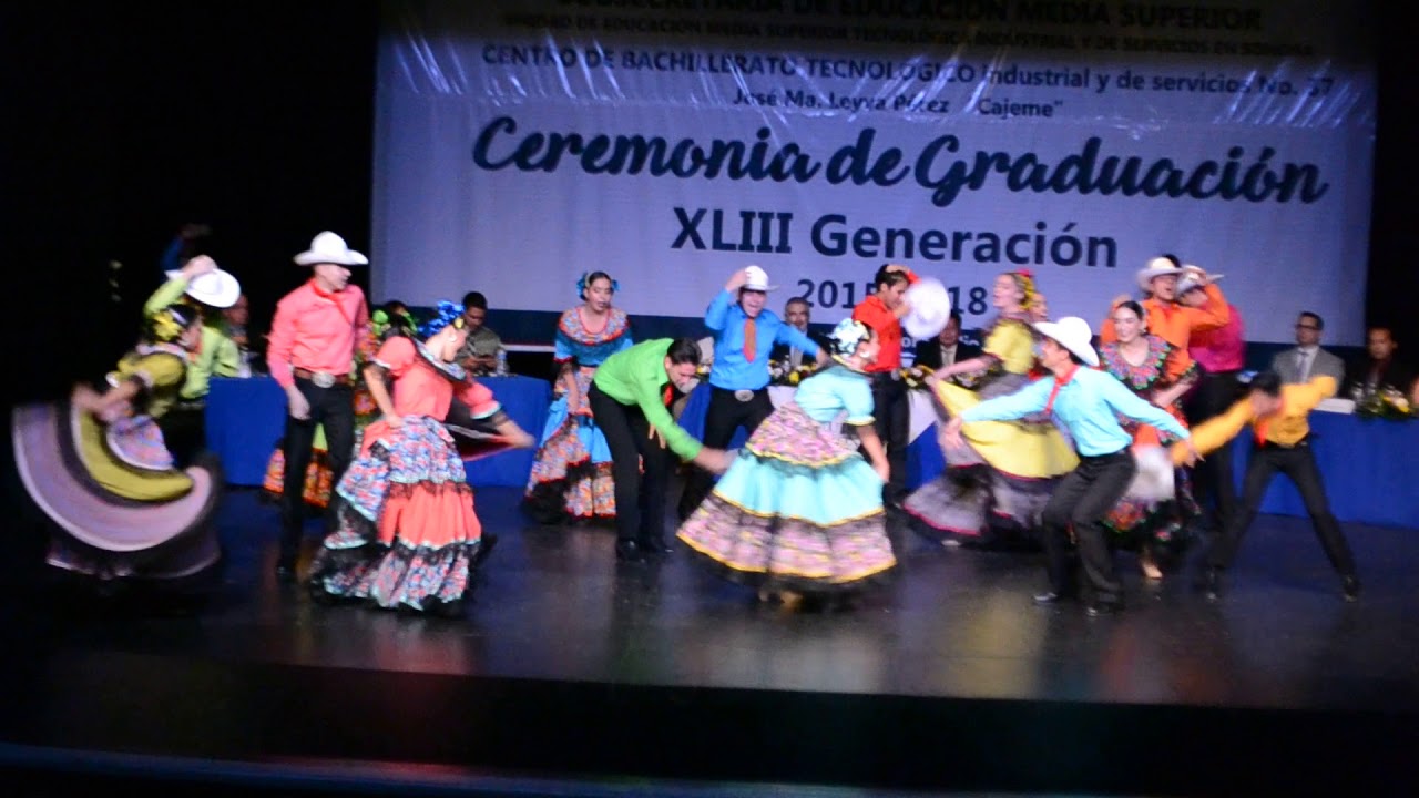 SINALOA MESTIZO