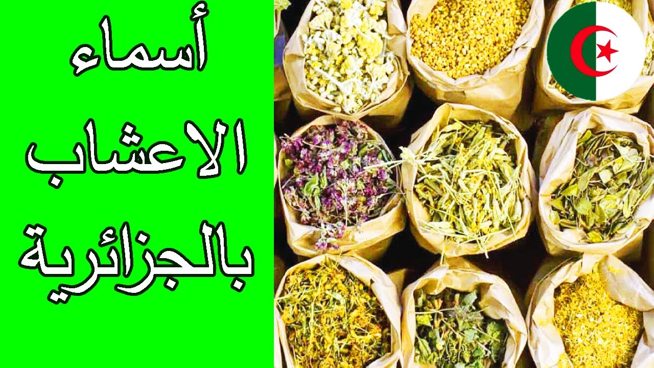ترجمة اسماء الاعشاب من اللغة العربية الى باللهجة الجزائرية الدارجة وصورها