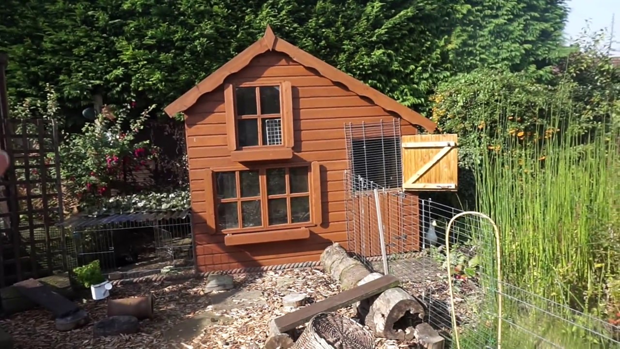 Tour Of My 'Pet Garden'