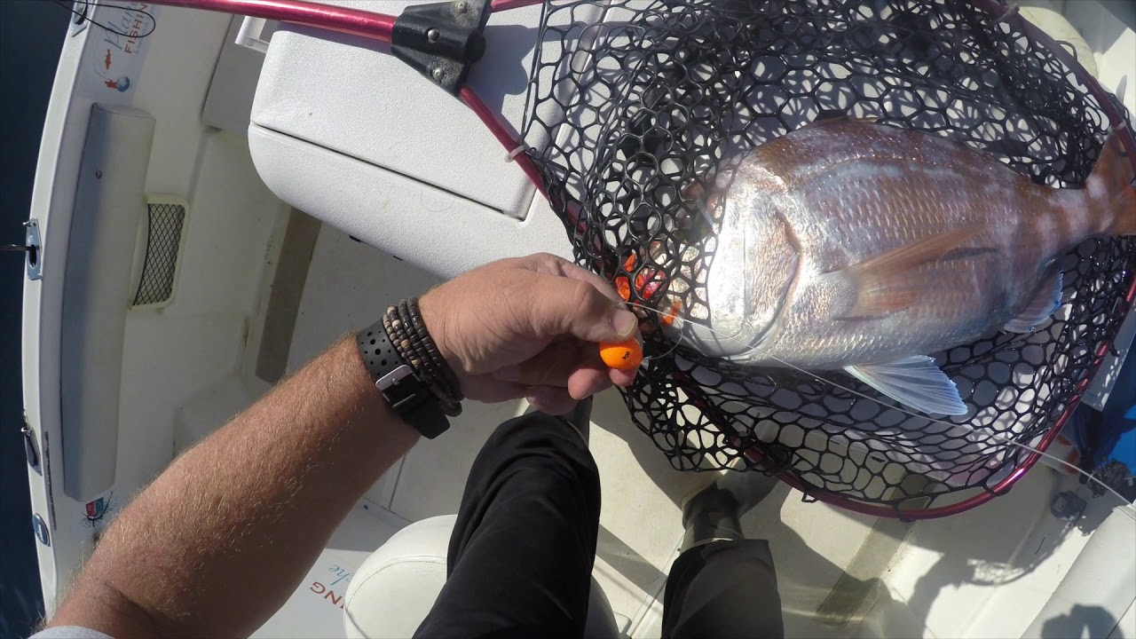 Tuto sur la pêche au Taï rubber pour le pagre et départ d'un espadon en slow jig