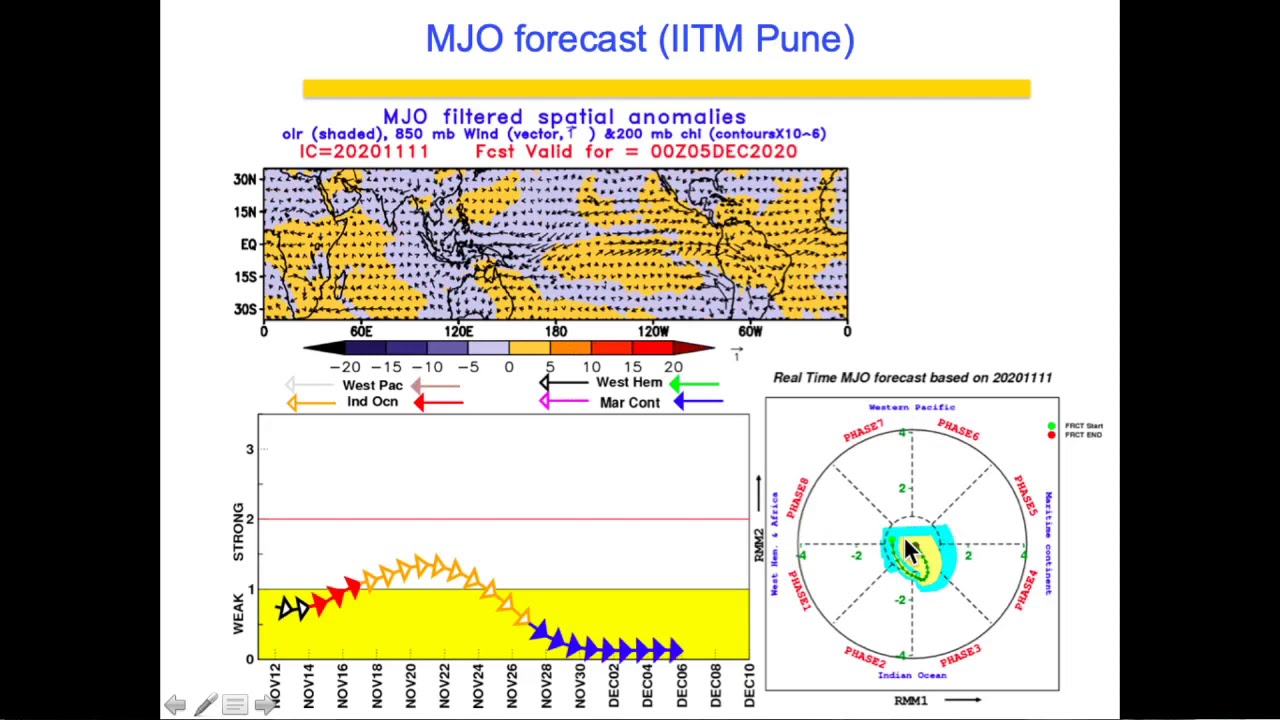 Madden Julian Oscillation (MJO)