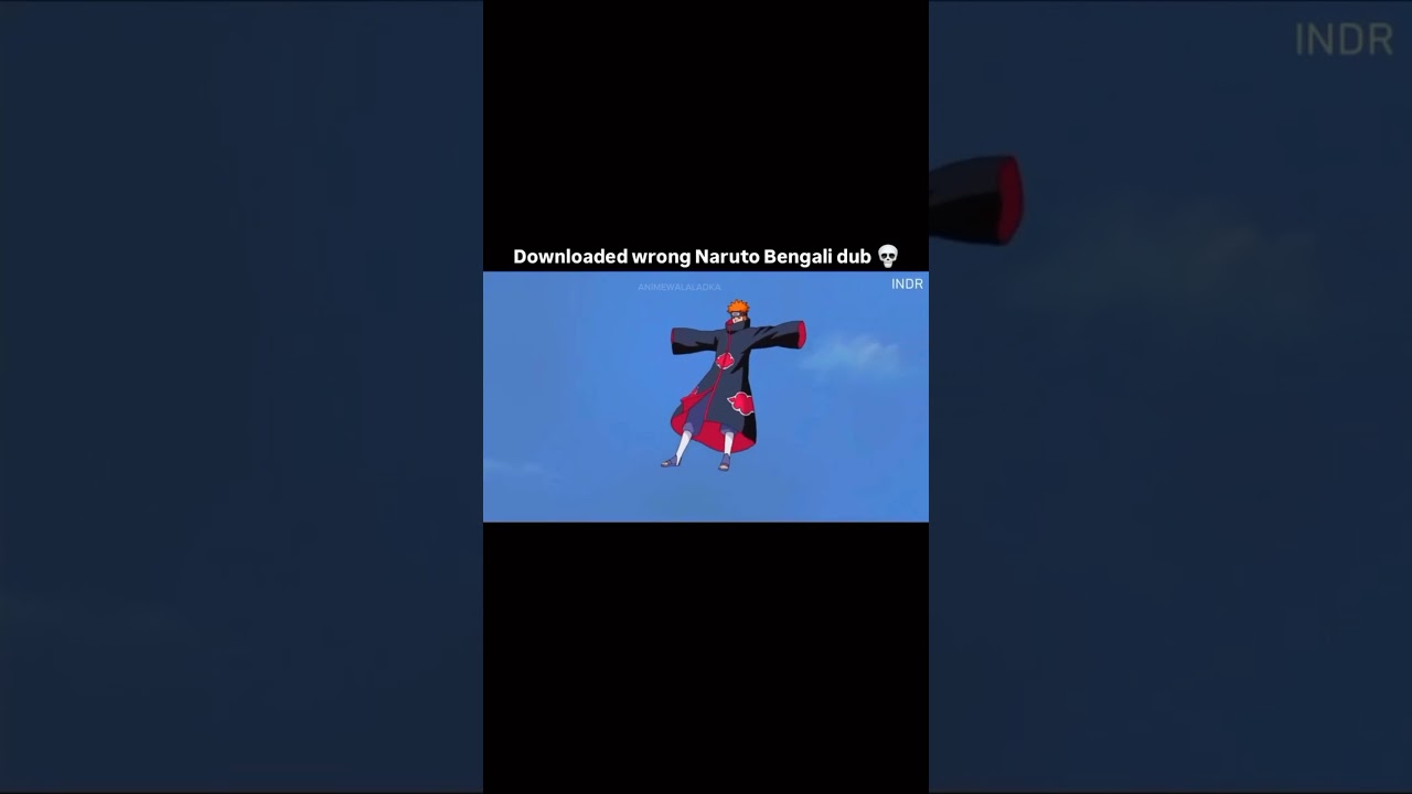 NARUTO WRONG DUB!! 😳
